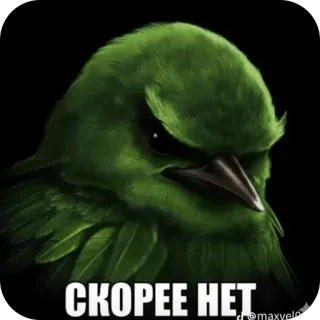 🫥 СКОРЕЕ НЕТ green bird, angry, scowl, disagreement, negative, meme, bird telegram sticker