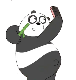▫️ Panda We Bare Bears Cartoon, Panda, Tier, Bär, Selfie, We Bare Bears whatsapp sticker