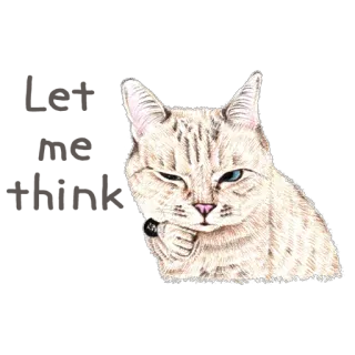 😕 고양이, 동물, 귀여운, 애완동물, 일러스트, 스티커, 윙크, 새끼 고양이 telegram sticker