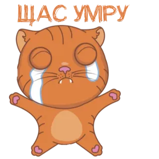 ☠️ ЩАС УМРУ cat, crying, sad, orange cat, cartoon, emoji telegram sticker