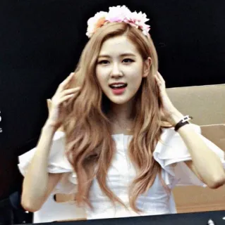 🌸 Rose kpop, 歌手, アイドル, バラ, blackpink, 花冠 telegram sticker