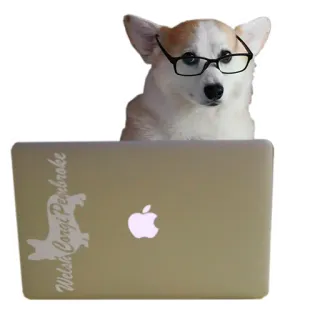 💻 Welsh Corgi Pembroke perro, corgi, corgi galés, pembroke, gafas, ordenador portátil, mascota, animal telegram sticker