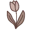 🌷