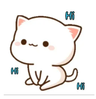 👋 Hi cat, cute, animal, greeting, cartoon whatsapp sticker