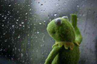 😢 Kermit カーミット, 悲しい, 雨, 窓, マペット, 人形 telegram sticker