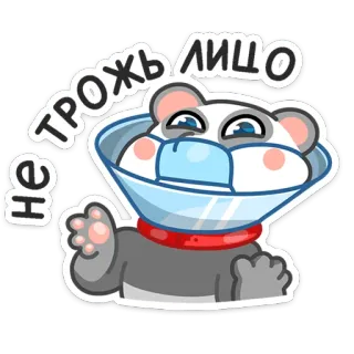 🙅‍♂️ Не трожь лицо Panda, Animal, Collerette, Médical, Sticker, Dessin animé whatsapp sticker