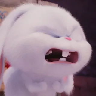 🐰 Snowball The Secret Life of Pets coelho, bravo, desenho animado, animal whatsapp sticker