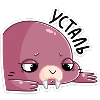😫 УСТАЛЬ morsa, cansado, dibujos animados, animal, lindo, pegatina telegram sticker