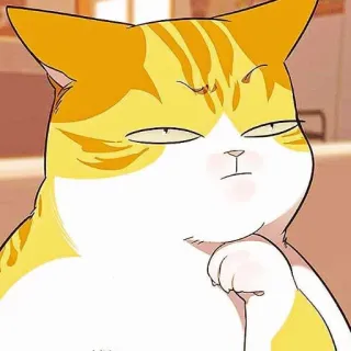 🧐 고양이, 동물, 주황 고양이, 진지한, 만화, 일러스트 telegram sticker