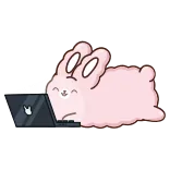 💻 kelinci, kelinci, laptop, binatang, komputer, kartun telegram sticker