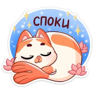 😴 СПОКИ Katze, schlafend, süß, Tier, Cartoon, Blumen, gruselig telegram sticker