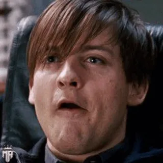 🕷 Peter Parker Spider-Man confundido, expresión, película, actor telegram sticker