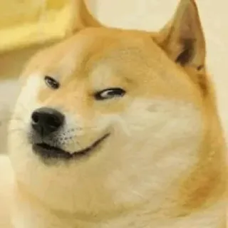 😈 Doge Meme, Doge, Chó, Shiba Inu, Cười đểu telegram sticker