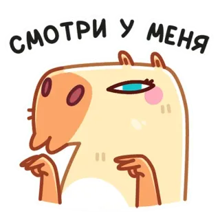 👀 СМОТРИ У МЕНЯ капибара, милый, животное, смешной, текст, мем, стикер telegram sticker