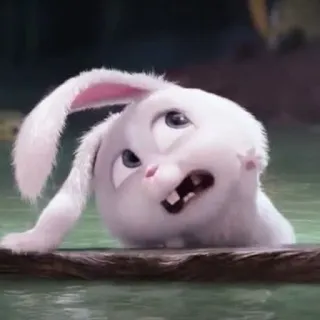 🐰 Snowball The Secret Life of Pets coelho, desenho animado, animal, branco whatsapp sticker