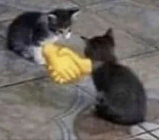 🤝 Katzen, Kätzchen, Emoji, Handschlag telegram sticker