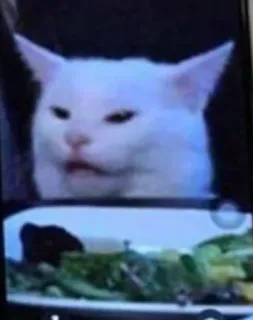 😐 Katze, Salat, Meme, lustig, wütend, verwirrt telegram sticker