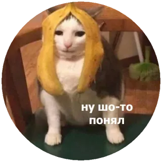 🤨 ну шо-то понял kat, banaan, dier, grappig, verdrietig whatsapp sticker