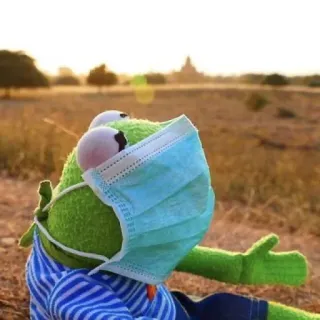 😷 Kermit Kermit la Rana, máscara, dibujos animados, muppet, pandemia telegram sticker