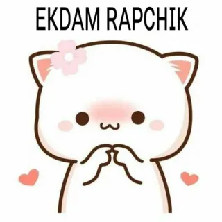 😋 EKDAM RAPCHIK 고양이, 귀여운, 만화, 꽃, 스티커, 하트, 사랑스러운 telegram sticker