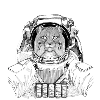 Animals in Space  @stickersb2b telegram stickers
