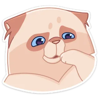 😅 gato, adesivo, fofo, desenho animado, animal, mamífero, ilustração telegram sticker