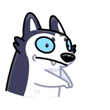 😐 chó, hoạt hình, động vật, husky, nhãn dán telegram sticker