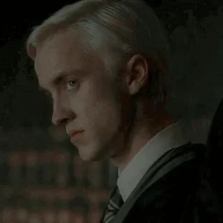 🐾 Draco Malfoy Harry Potter 드레이코 말포이, 해리 포터, 슬리데린, 마법사, 톰 펠튼, 캐릭터, 마법 telegram sticker