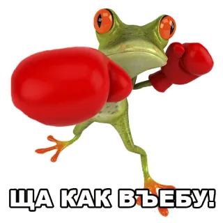 😡 ЩА КАК ВЪЕБУ! лягушка, бокс, агрессивный, животное, мультфильм telegram sticker