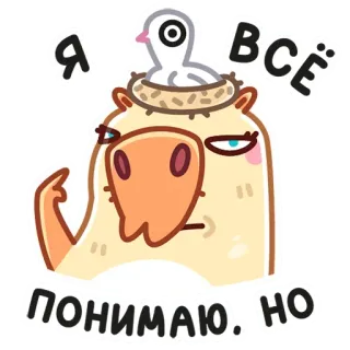 😐 Я всё понимаю, но животное, мультик, стикер, юмор, русский, текст, птица telegram sticker