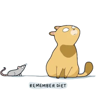🐱 REMEMBER DIET gato, rato, dieta, comida, desenho animado, animal, engraçado whatsapp sticker