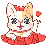 🥰 gato, corazones, lindo, adorable, kawaii, pegatina whatsapp sticker