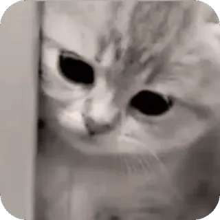 ☹ telegram sticker