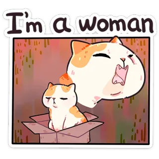 ❤️ I'm a woman kat, vrouw, sticker, cartoon, dier, katachtig, doos whatsapp sticker