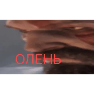 🔥 ОЛЕНЬ deer, animal, russian, олень telegram sticker