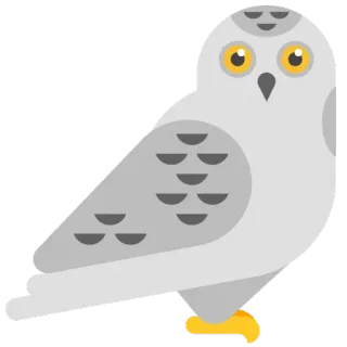 😀 сова, птица, животное, белый, белая сова, дикая природа, природа telegram sticker