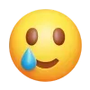 🥲