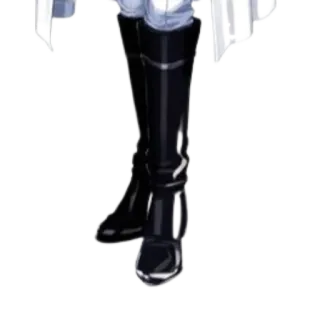 😎 bottes, noir, brillant, chaussures telegram sticker