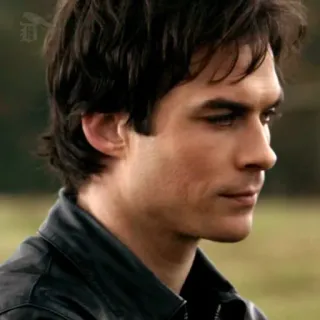 🍸 Damon Salvatore The Vampire Diaries vampier, tv serie, drama, bovennatuurlijk, Ian Somerhalder telegram sticker