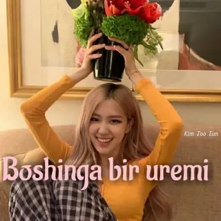 😡 Boshinga bir uremi telegram sticker