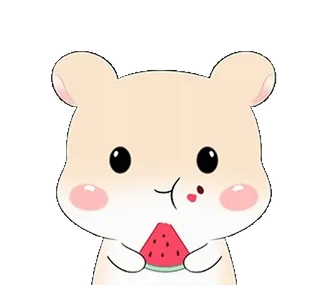 🍉 criceto, carino, anguria, kawaii, animale, cartone animato, illustrazione telegram sticker