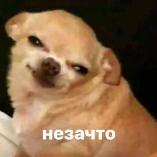 😦 незачто telegram sticker