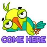 😏 COME HERE Vogel, lustig, Nachricht, Text, komm her, süß telegram sticker