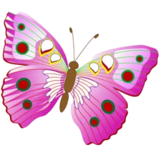 🦋 Vlinder, Roze, Natuur, Insect, Schattig telegram sticker