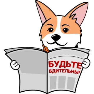 ❗️ БУДЬТЕ БДИТЕЛЬНЫ! cane, giornale, corgi, lettura, allerta, vigile telegram sticker