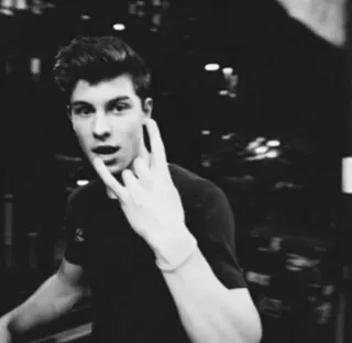 🤘 Shawn Mendes Shawn Mendes, singer, celebrity, music, portrait telegram sticker