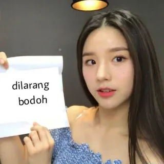 ⛔️ dilarang bodoh telegram sticker