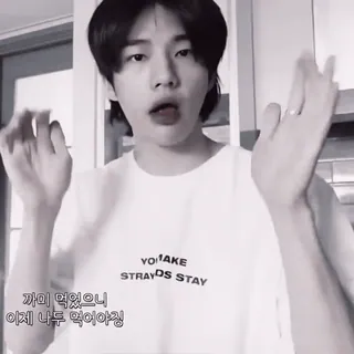 📎 YOU MAKE STRAY KIDS STAY stray kids, k-pop, grupa muzyczna, idol, you make stray kids stay, koreański pop telegram sticker