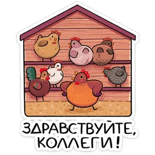 Маргаритка от @TgSticker whatsapp stickers