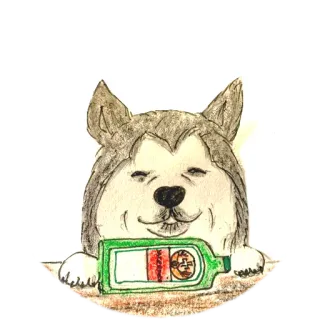 🙃 dog, jagermeister, alcohol, husky, animal whatsapp sticker